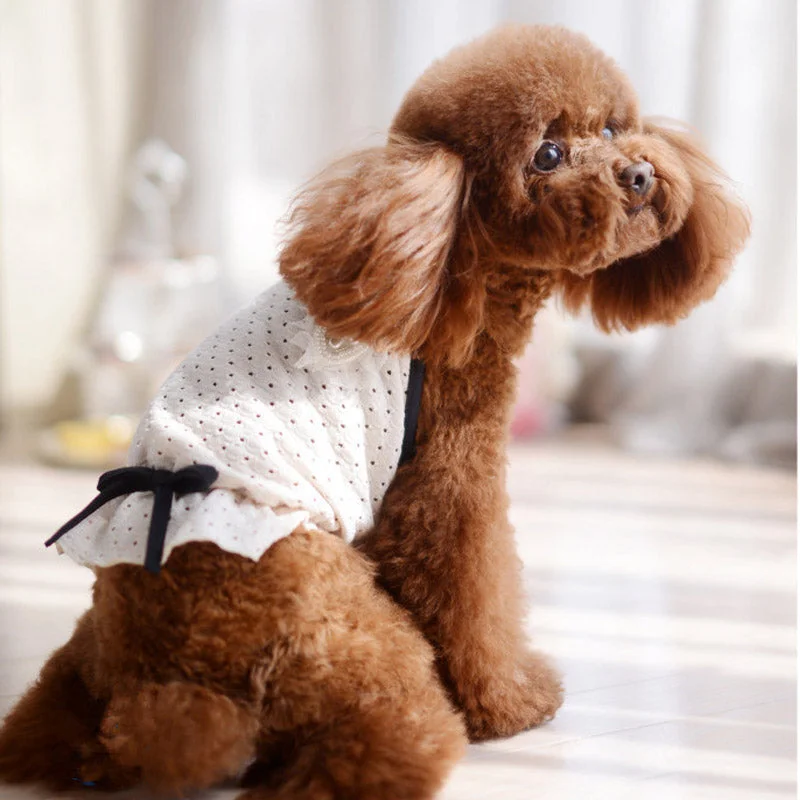 Maxbell Maxbell Dog Puppy Lace Suspender Skirt Dress Hoodie Jumpsuit Clothes Vest Apparel M Hoodie with Gradient Ombre Colorful